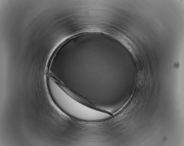 X0000097991084200804071145