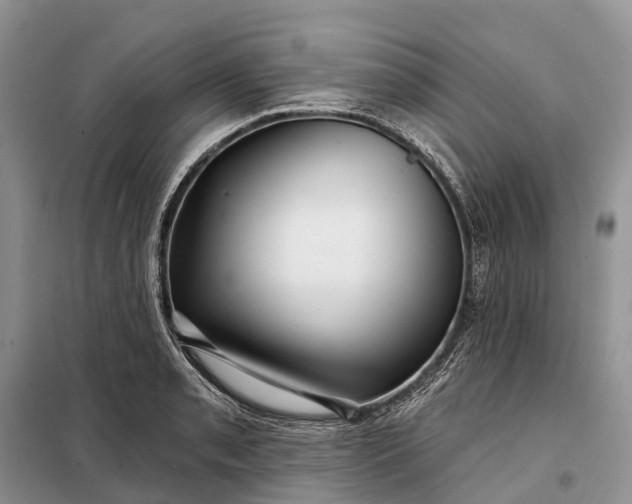 X0000097991085200804071145
