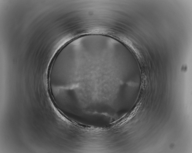 X0000097991087200804071145