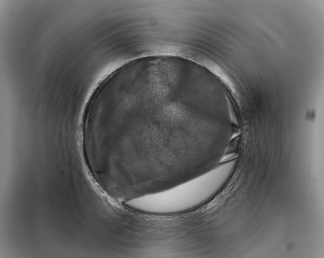 X0000097991088200804071145