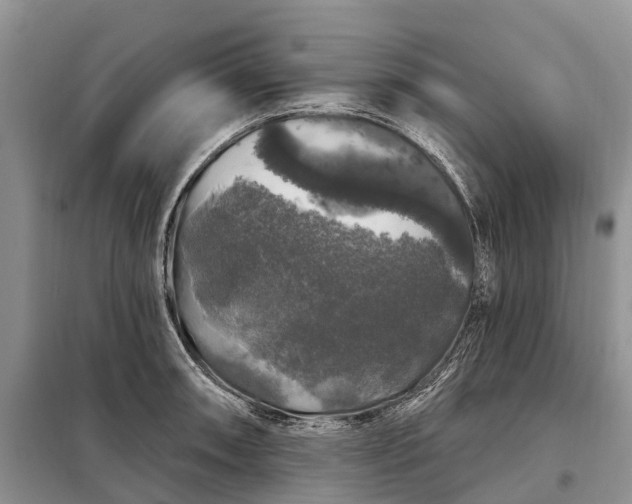 X0000097991090200804071145