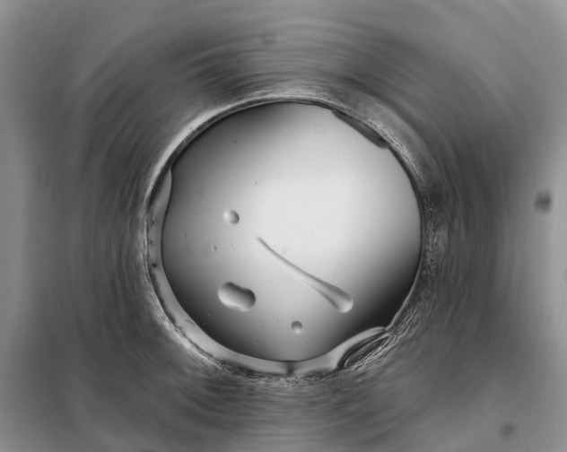 X0000097991092200804071145