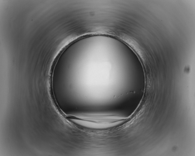 X0000097991093200804071145