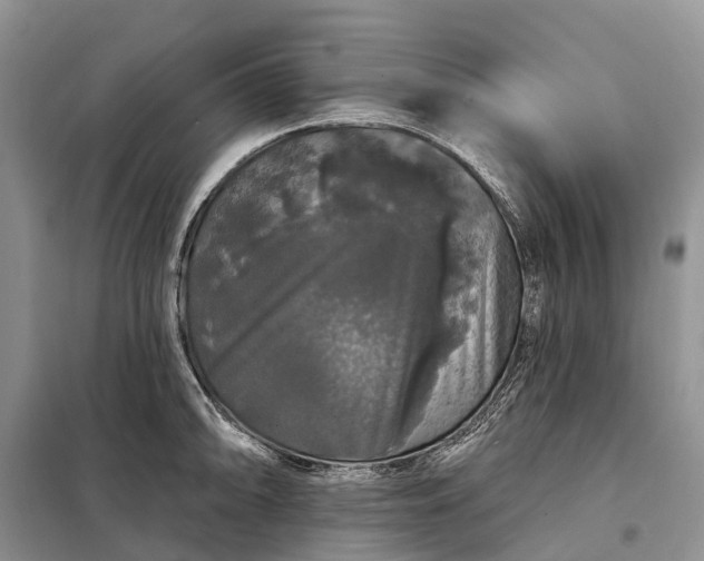 X0000097991094200804071145
