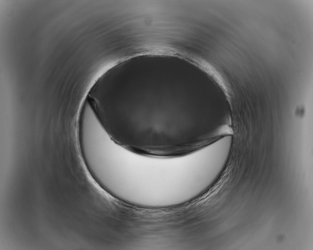 X0000097991095200804071145