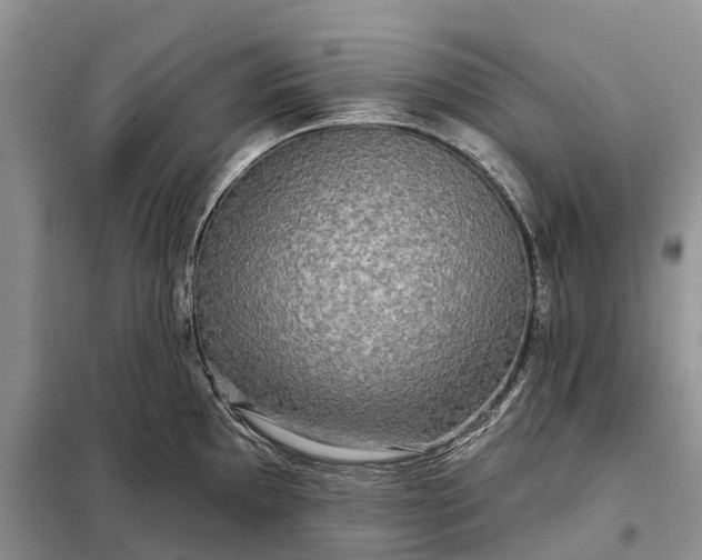 X0000097991097200804071145