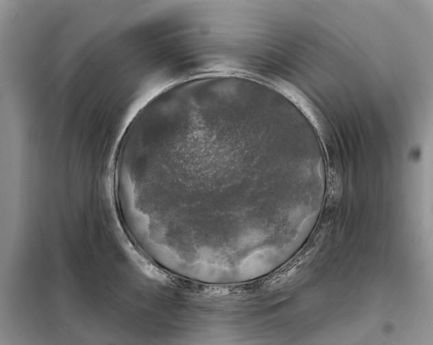 X0000097991098200804071145