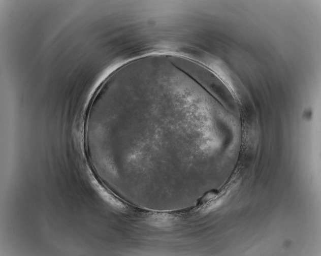 X0000097991100200804071145