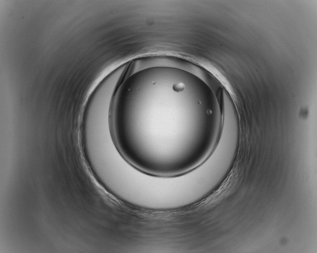 X0000097991101200804071145