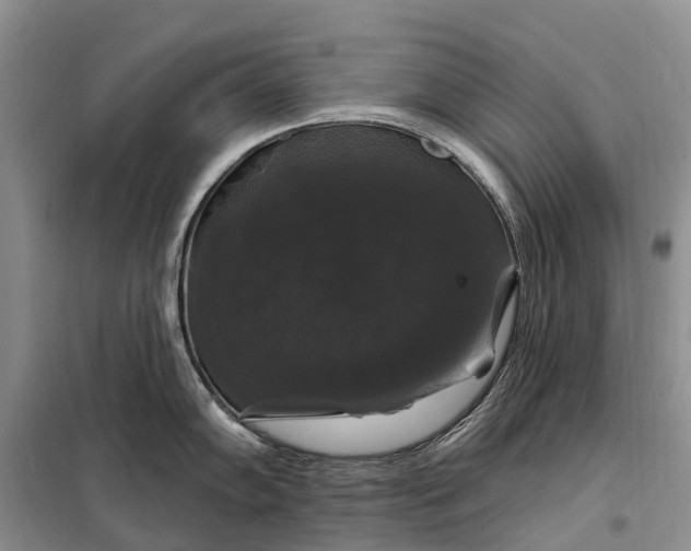 X0000097991102200804071145