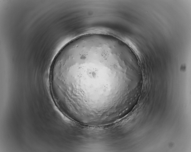 X0000097991103200804071145