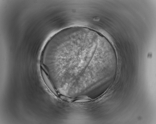 X0000097991104200804071145