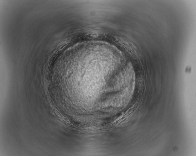 X0000097991105200804071144