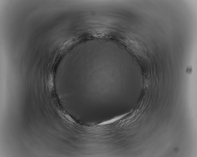 X0000097991106200804071144