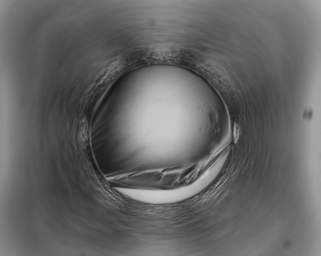 X0000097991107200804071144