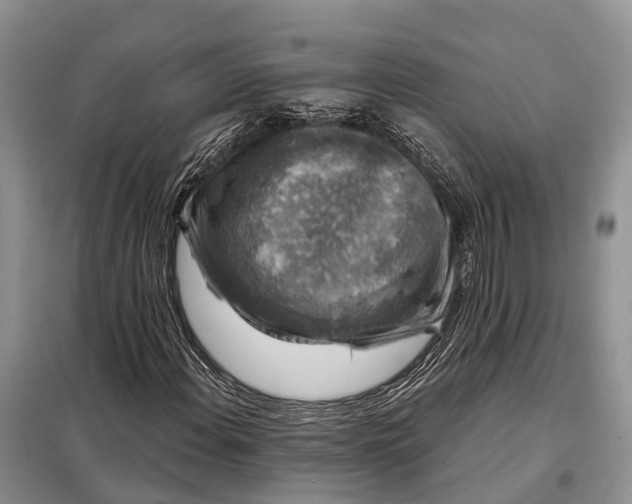 X0000097991108200804071144