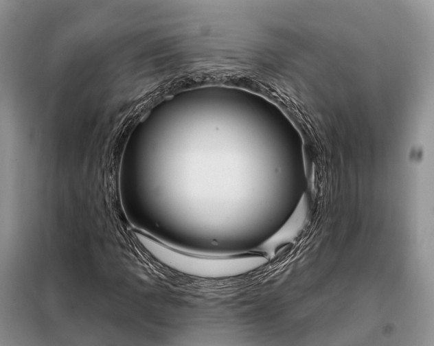 X0000097991109200804071144