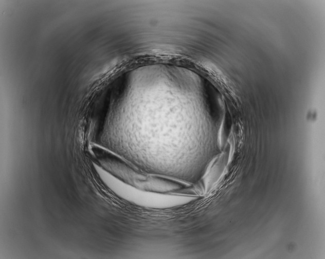 X0000097991110200804071144