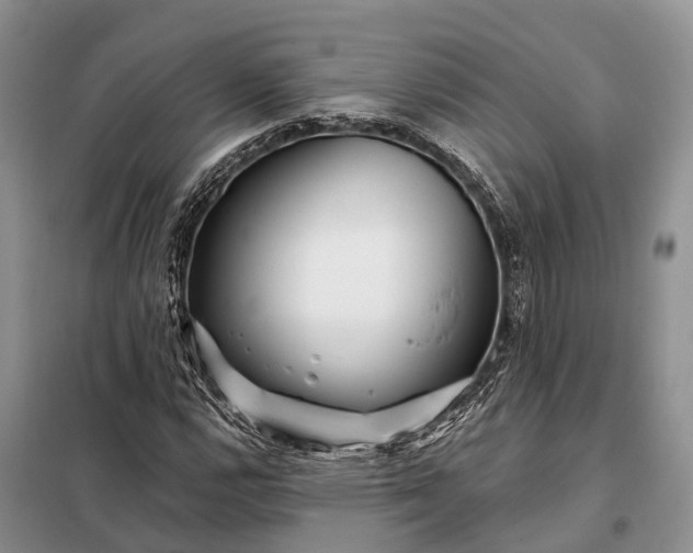 X0000097991112200804071144