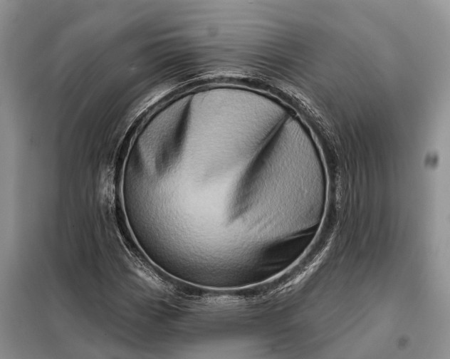 X0000097991113200804071144