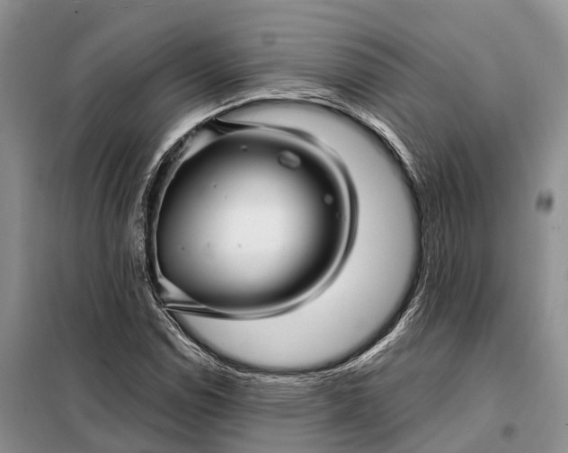 X0000097991114200804071144