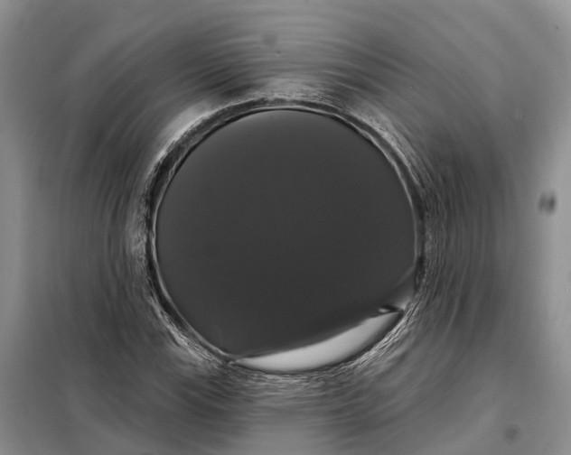 X0000097991115200804071144