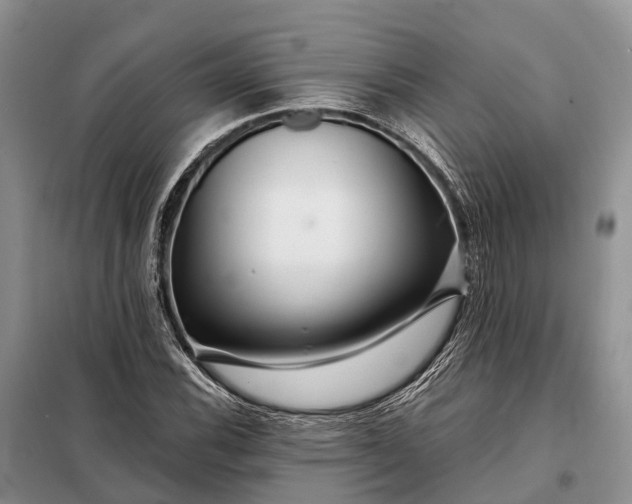 X0000097991116200804071144