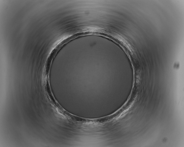 X0000097991117200804071144