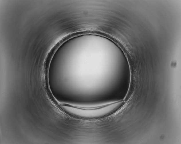 X0000097991118200804071144