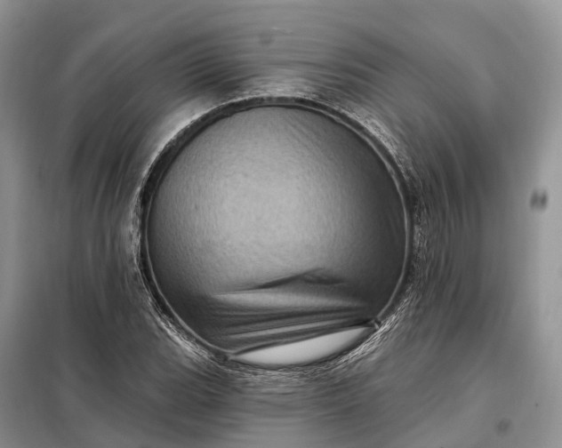 X0000097991119200804071144