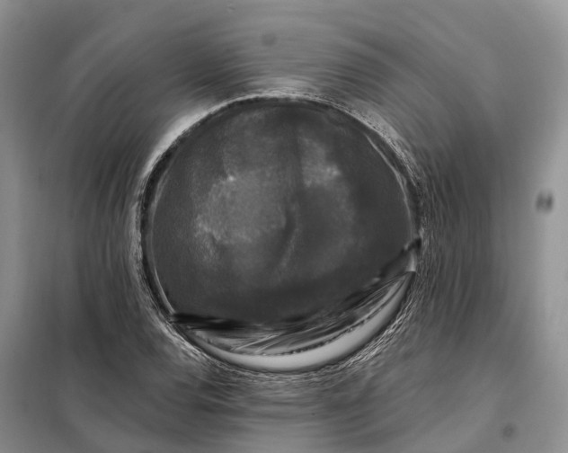 X0000097991120200804071144
