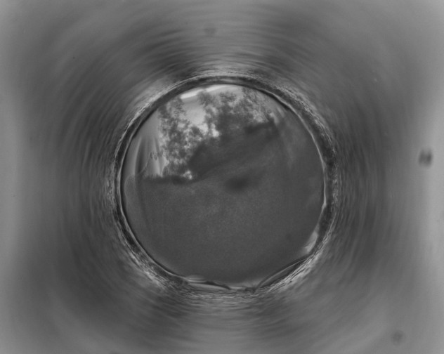 X0000097991121200804071144