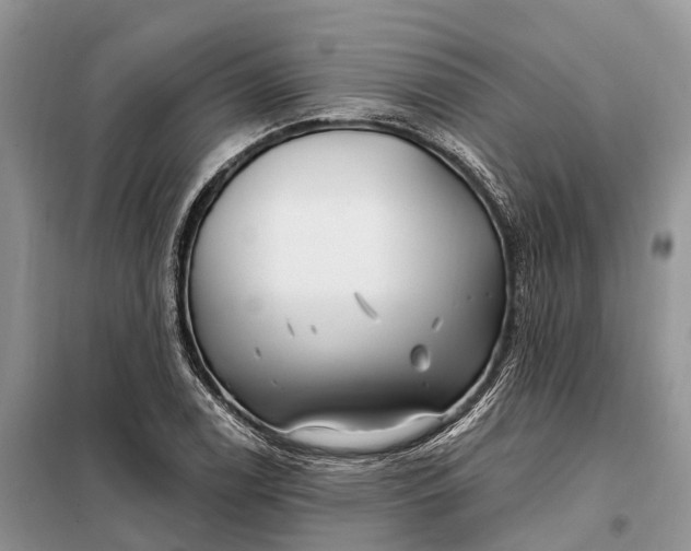 X0000097991122200804071144
