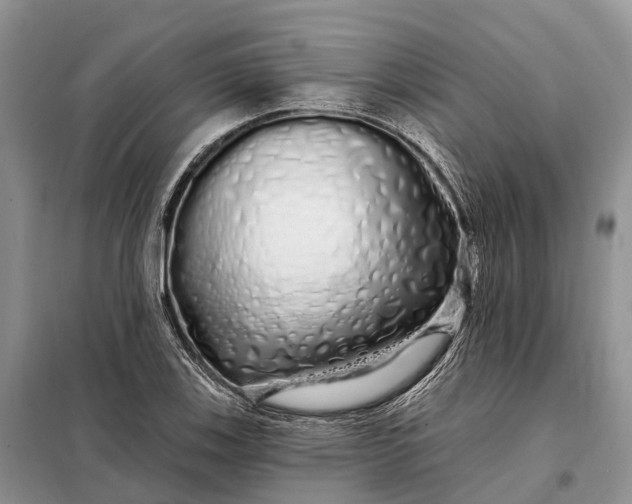 X0000097991123200804071144