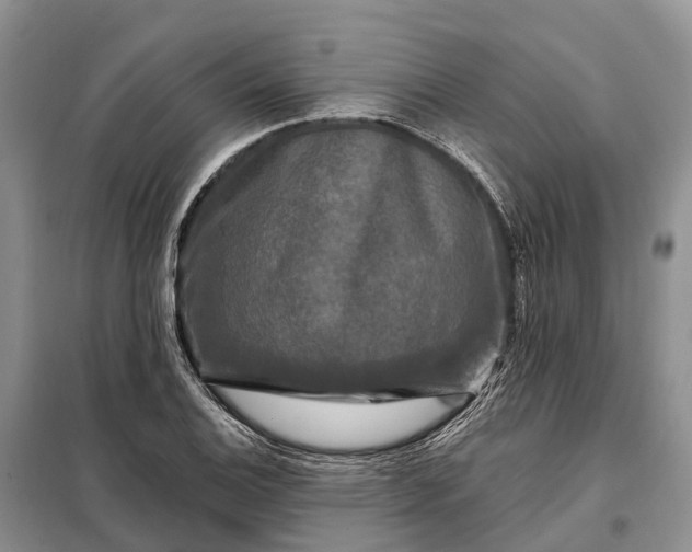 X0000097991124200804071144