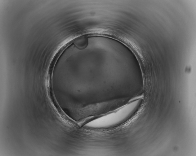 X0000097991125200804071144