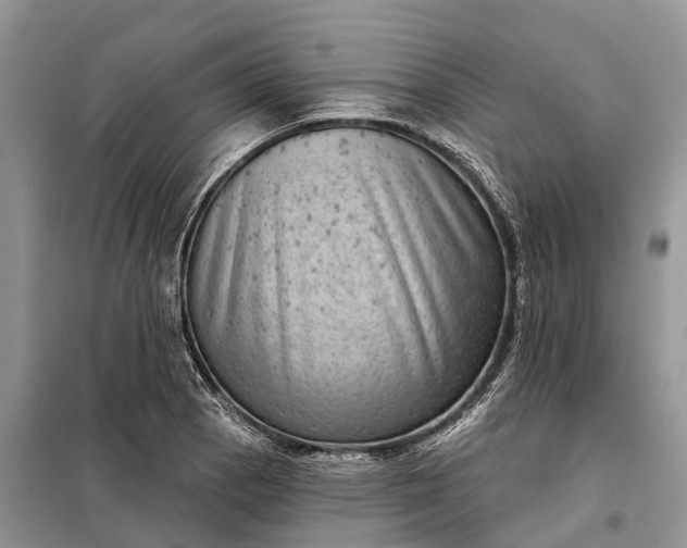 X0000097991129200804071144