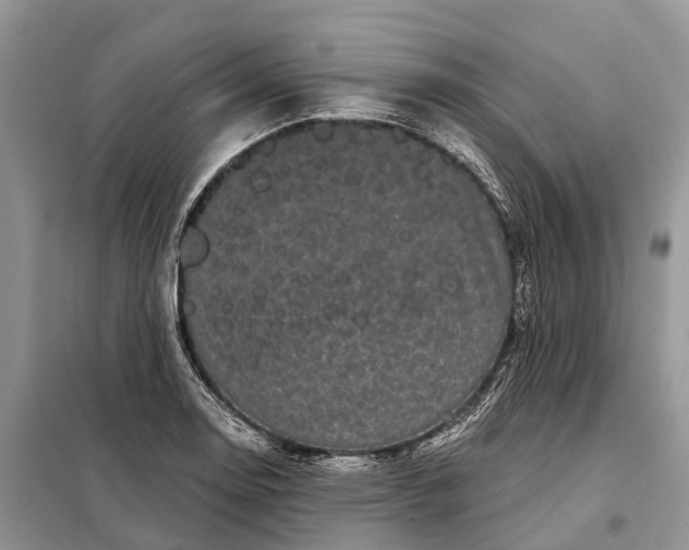 X0000097991130200804071144