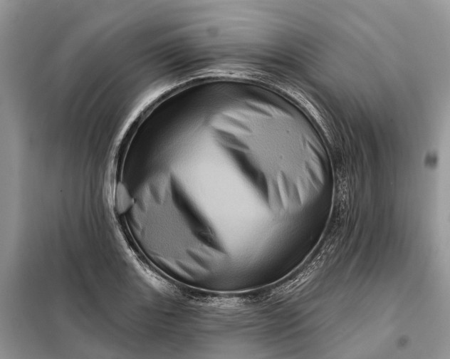 X0000097991131200804071144