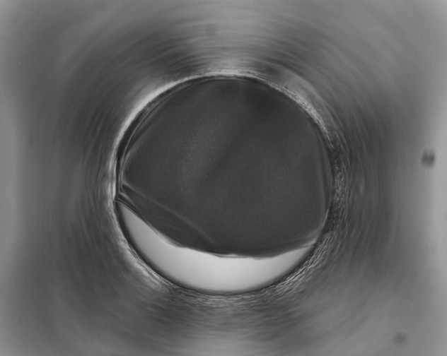 X0000097991132200804071144