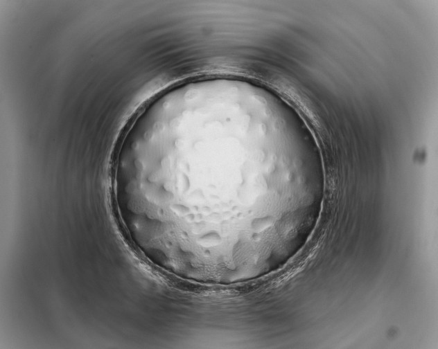X0000097991133200804071144