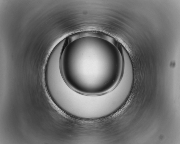 X0000097991134200804071144