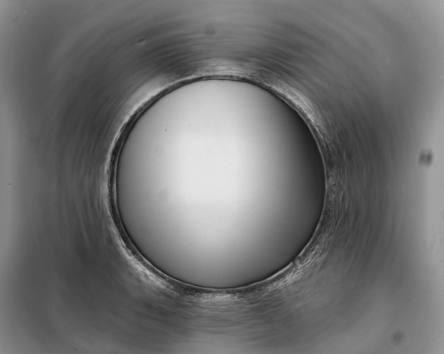 X0000097991135200804071144
