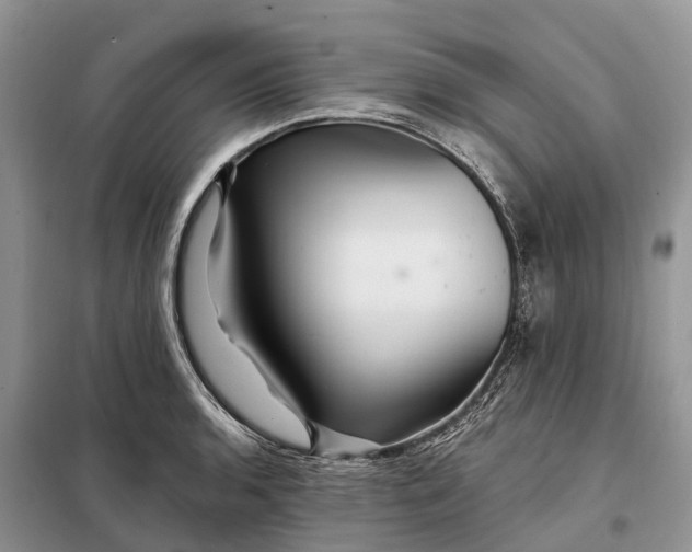 X0000097991136200804071144