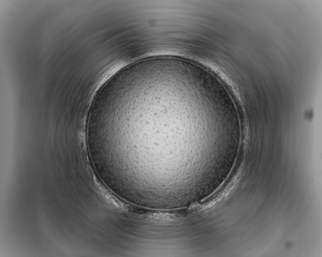 X0000097991137200804071144