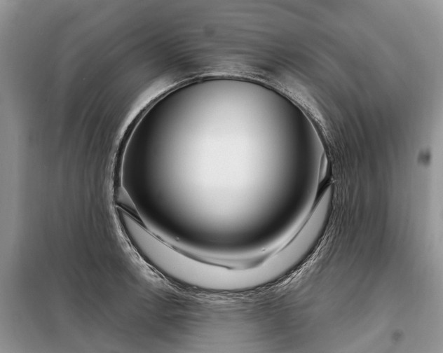 X0000097991138200804071144