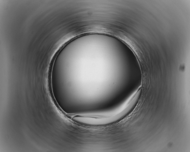X0000097991139200804071144