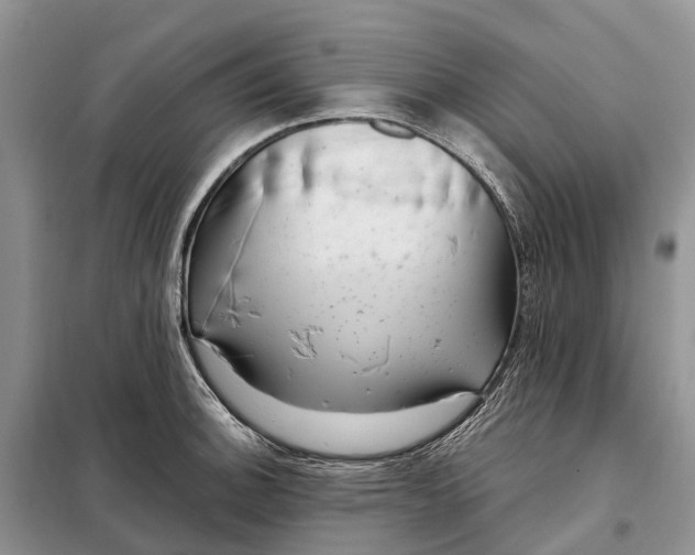 X0000097991140200804071144