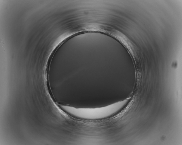 X0000097991141200804071144