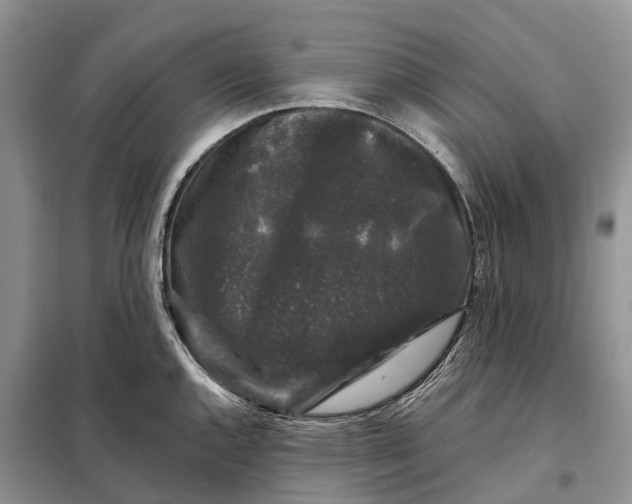 X0000097991144200804071144